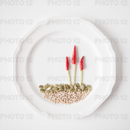 Landscape on plate made out of food, studio shot. 
Photo : Jessica Peterson