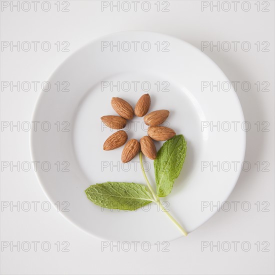 Flower on plate made out of food, studio shot. 
Photo : Jessica Peterson