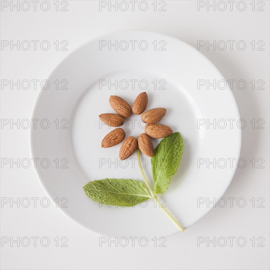 Flower on plate made out of food, studio shot. 
Photo: Jessica Peterson