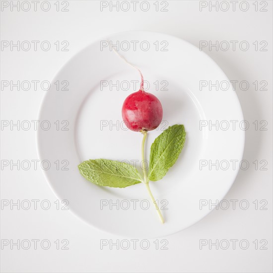 Flower on plate made out of food, studio shot. 
Photo : Jessica Peterson