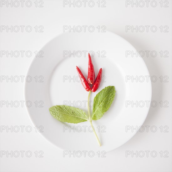 Flower made of food on plate, studio shot. 
Photo : Jessica Peterson