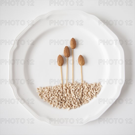 Composition of seeds, studio shot. 
Photo : Jessica Peterson