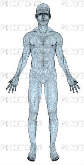 Conceptual image of trans-sexual human body. 
Photo : Calysta Images