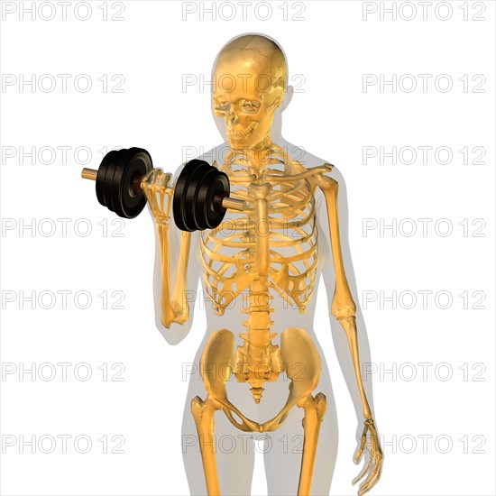 Conceptual image showing human skeleton doing workout. 
Photo: Calysta Images