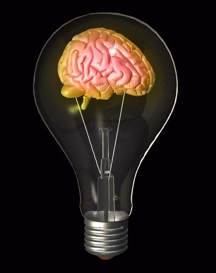 Conceptual image of "light bulb" containing human brain. 
Photo : Calysta Images