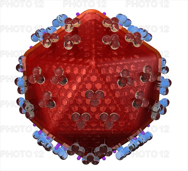 Conceptual image showing human body cell. 
Photo : Calysta Images