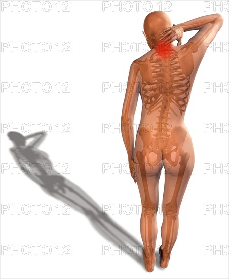 Digitally generated image of human representation with human skeleton visible. 
Photo : Calysta Images