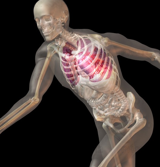 Digitally generated image of running human representation with inner human organs visible. 
Photo: Calysta Images