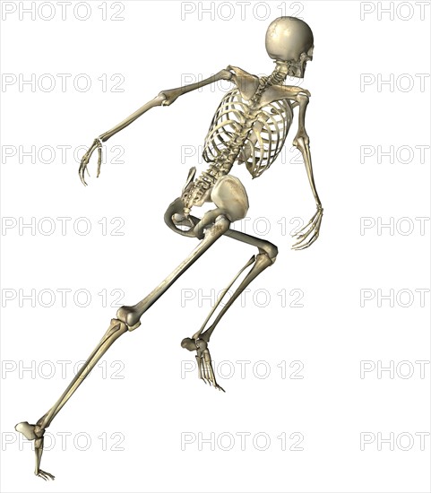 Digitally generated image of running human skeleton. 
Photo : Calysta Images