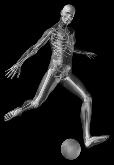 Digitally generated image of human representation playing soccer ball with human skeleton visible. 
Photo: Calysta Images