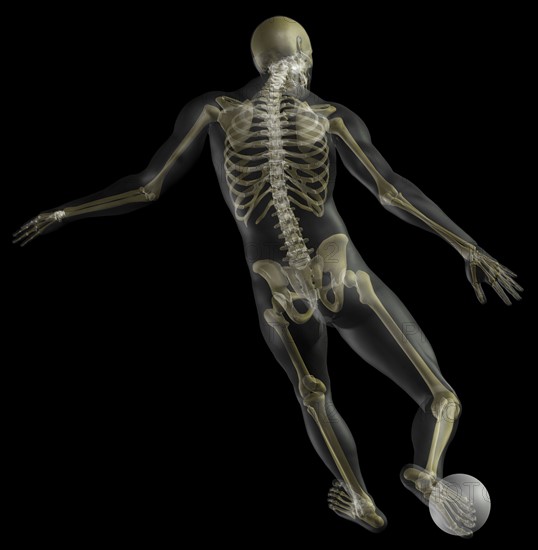 Digitally generated image of human representation playing soccer ball with human skeleton visible. 
Photo : Calysta Images