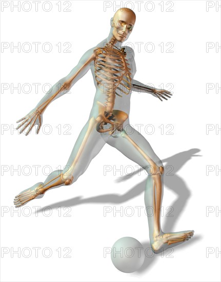 Digitally generated image of human representation playing soccer ball with human skeleton visible. 
Photo : Calysta Images