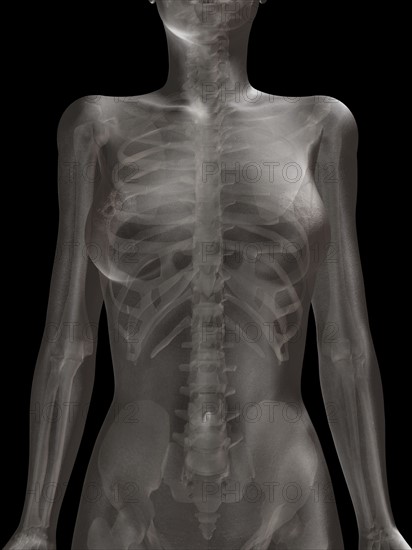 Digitally generated image of female representation with human skeleton visible. 
Photo : Calysta Images