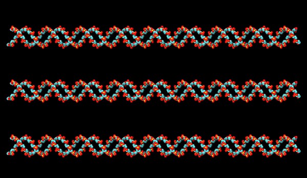 Digitally generated image of helix structure. 
Photo: Calysta Images