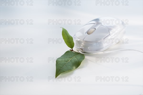 Studio shot of computer mouse with green leaf.