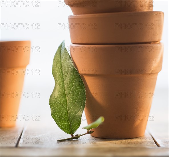 Stack of flower pots and green leaf.