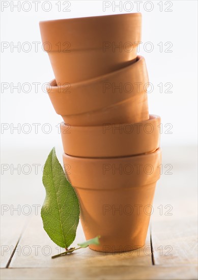 Stack of flower pots and green leaf.