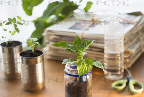 Stack of old newspapers and seedlings in jar and cans.