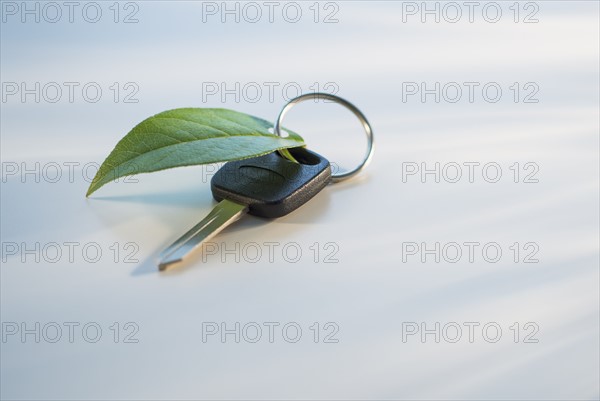 Studio shot of car key with ring and green leaf.
