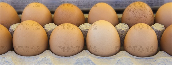 Eggs in box.