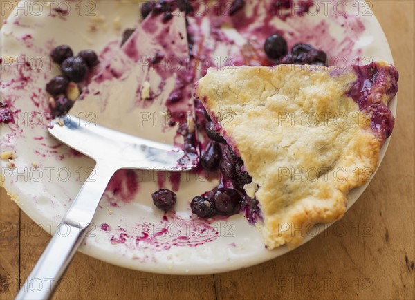 Blueberry pie slice and cake server on plate.