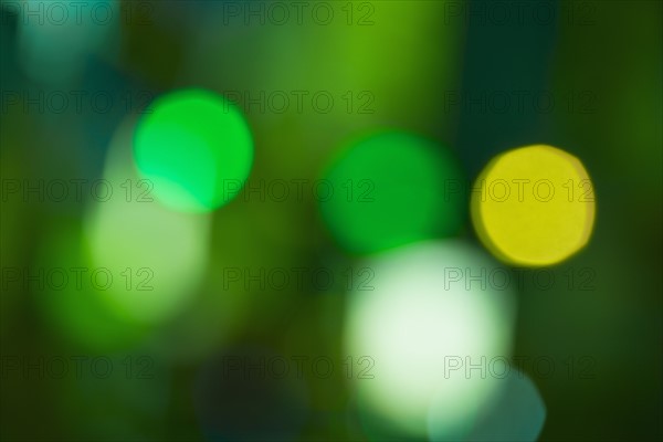 Green defocused lights.