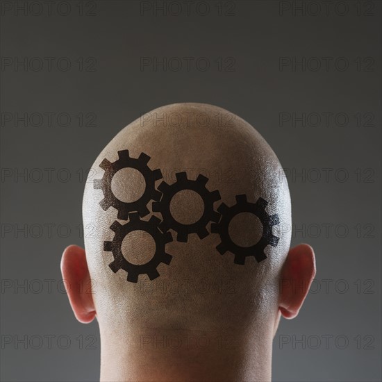 Studio shot of man's shaved head.