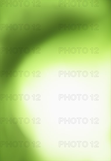 Abstract green background.