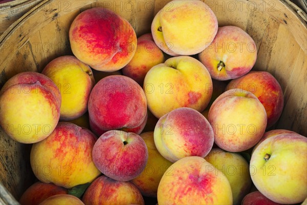 Fresh peaches.
