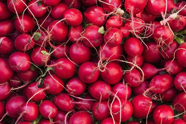 Fresh radish.