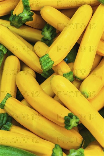 Yellow squash.