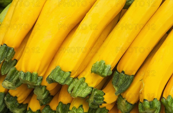 Yellow squash.