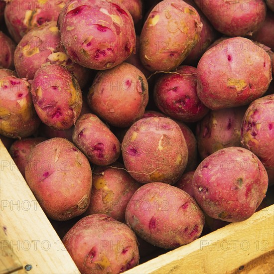 Fresh red potatoes.