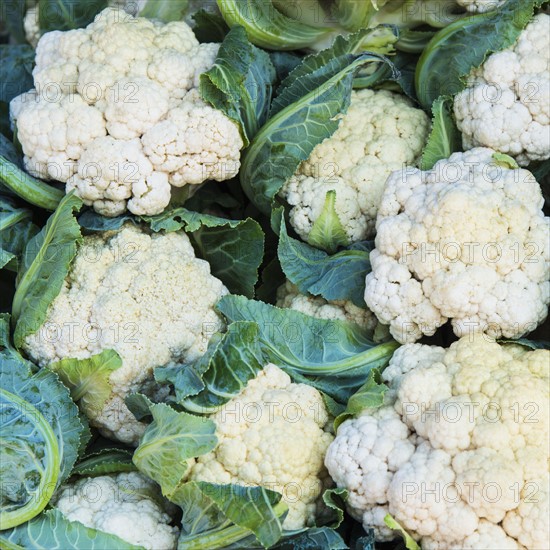 Fresh cauliflowers.