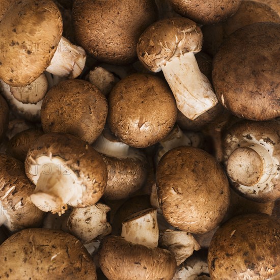 Fresh brown mushrooms.