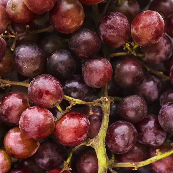 Fresh pink grapes.