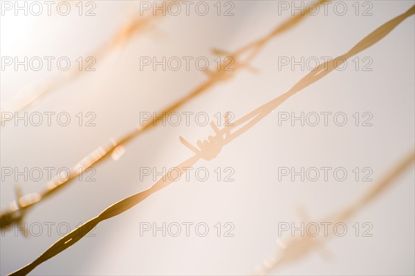 Barbed wire in bright sunshine.