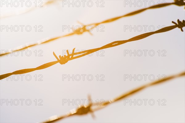 Barbed wire in bright sunshine.