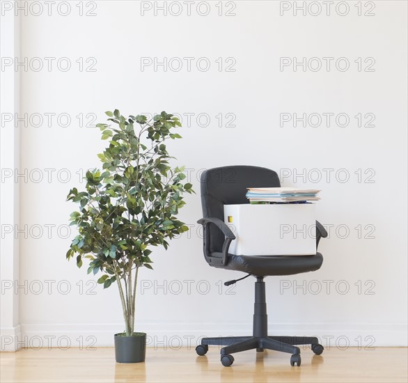 Studio shot of potted plant and office chair. Photo: Daniel Grill