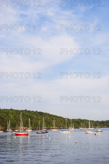 Yachts moored in marina. Photo: Daniel Grill