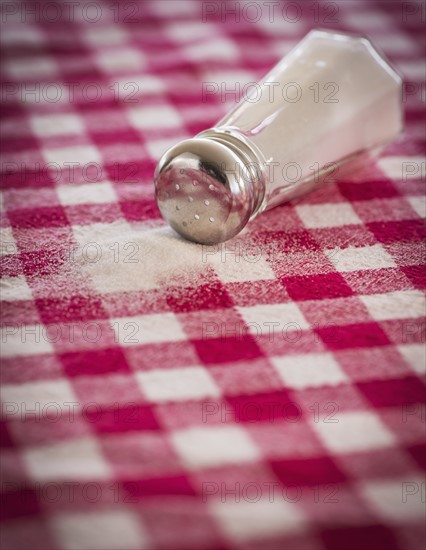 Salt shaker on checked tablecloth. Photo : Daniel Grill