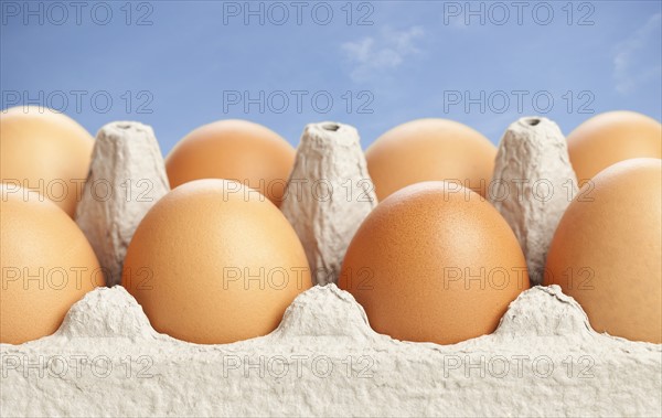 Eggs in carton against blue sky. Photo: Sarah M. Golonka