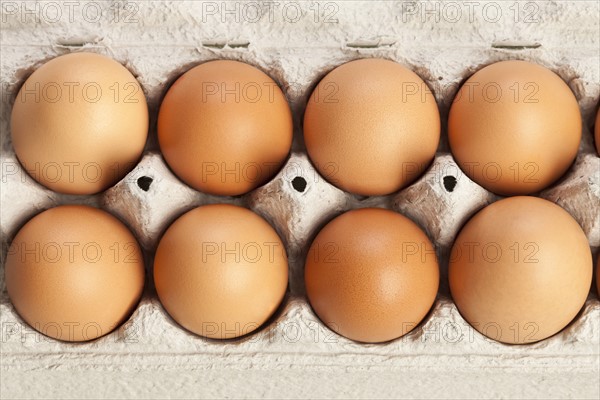 Eggs in carton. Photo: Sarah M. Golonka