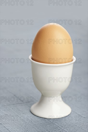 Boiled egg in cup. Photo: Sarah M. Golonka