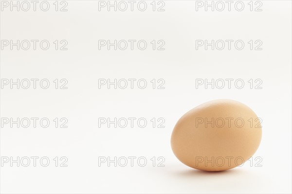 Studio shot of egg. Photo: Sarah M. Golonka