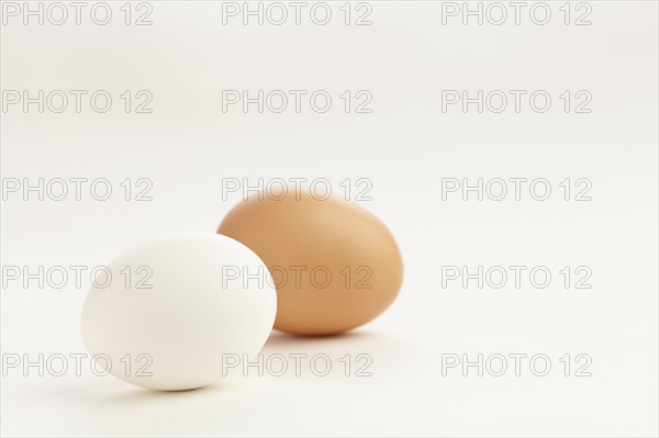 Studio shot of eggs. Photo : Sarah M. Golonka