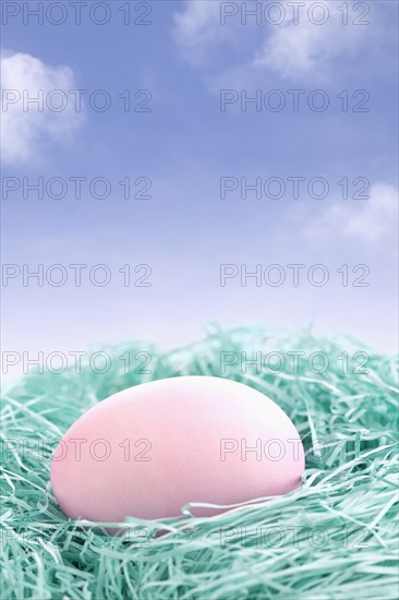 Pink egg in nest. Photo : Sarah M. Golonka