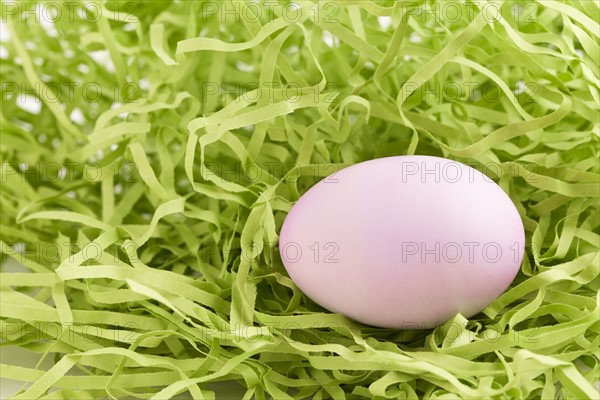 Pink egg among paper strips. Photo : Sarah M. Golonka