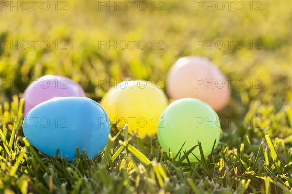 Colorful eggs laying on grass. Photo: Sarah M. Golonka