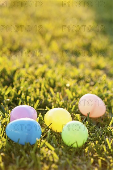 Colorful eggs laying on grass. Photo: Sarah M. Golonka